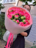 Голландские пионы
